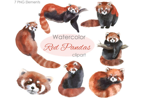 Download Watercolor Clipart. Red Panda Png - Panda png Collection